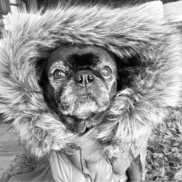 β₯ Welcome π€ Iβm JanΒΈΒΈ.β’*´¨`*β’.ΒΈβ
- Picture 2 of 2